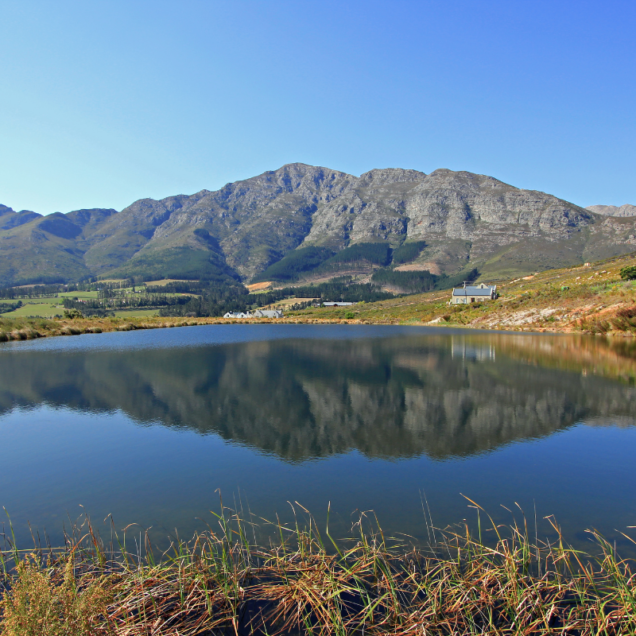 Franshhoek