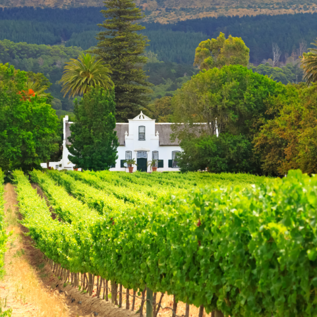 Constantia