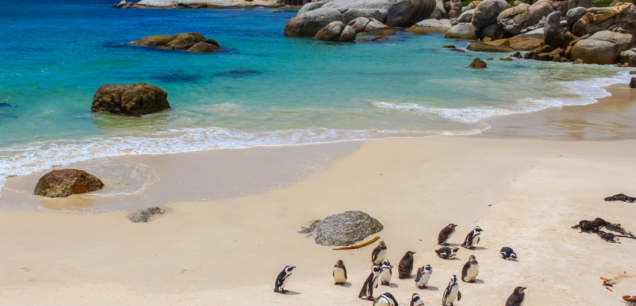 Simons Town