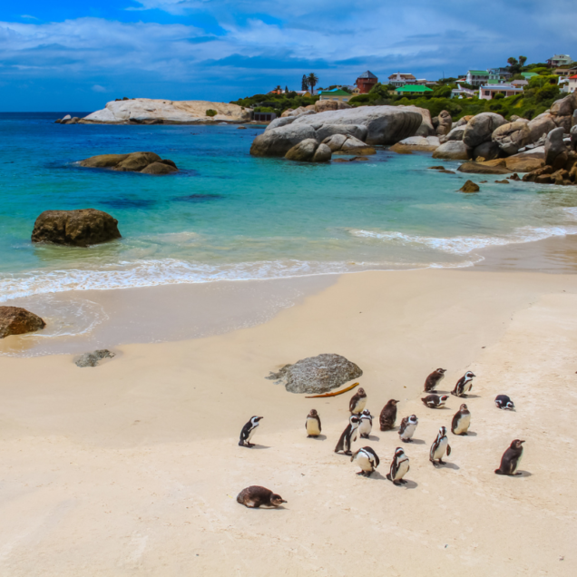 Simons Town