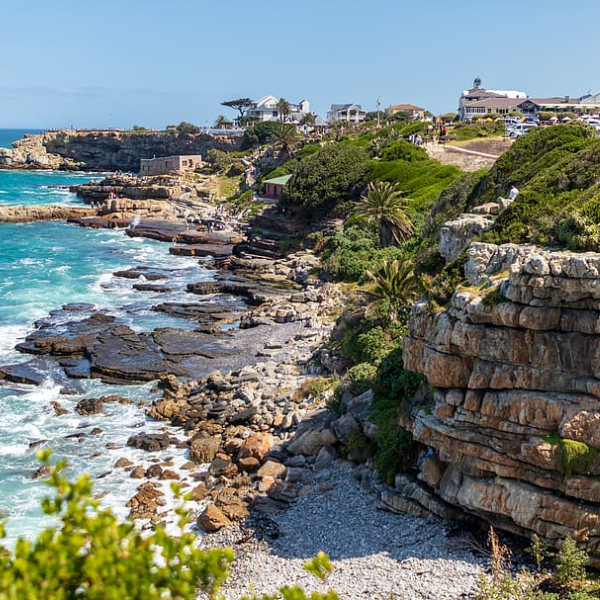 Hermanus
